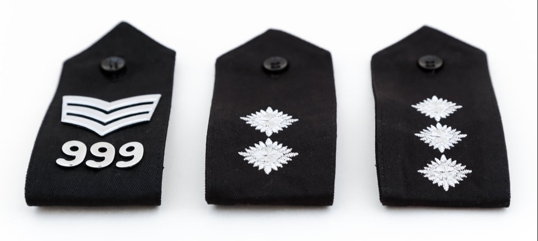 Sergeant inspector chief inspector ranks