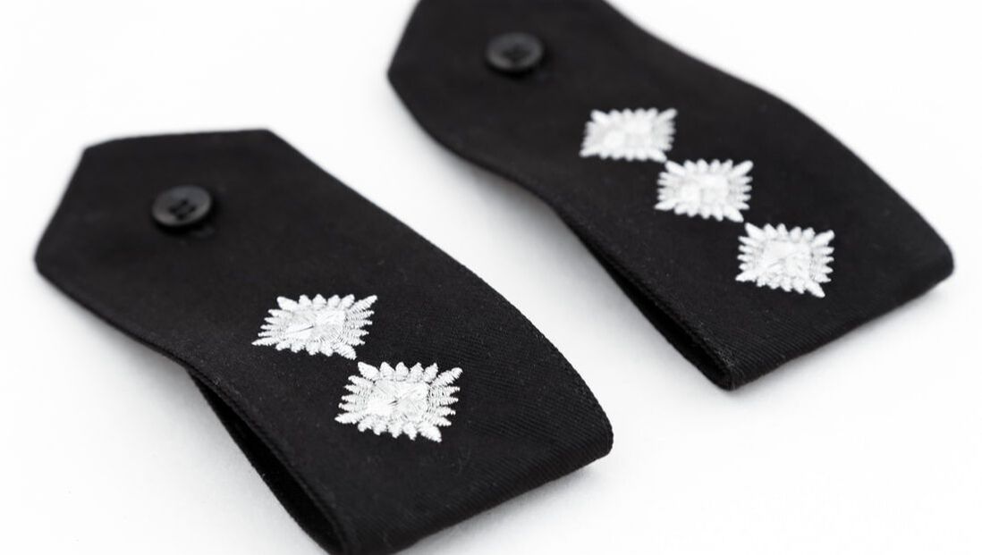 Inspector Chief Inspector pips badges